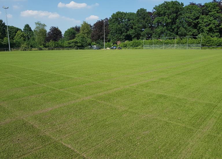 Domo Fusion Grass - Reference NL Nunspeet Vierhouten - Domo Sports Grass