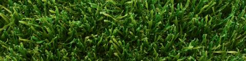 Champion Ascari 5G pitch Campo de fútbol renovable - Domo Sports Grass