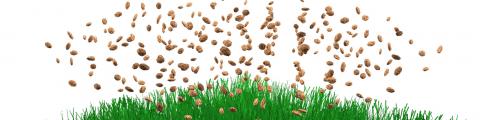 Domo® Naturafill kurk infill voor kunstgras - Domo® Sports Grass
