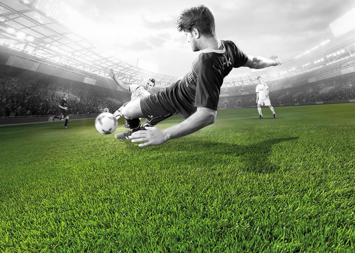 Soccer - Domo Sports Grass