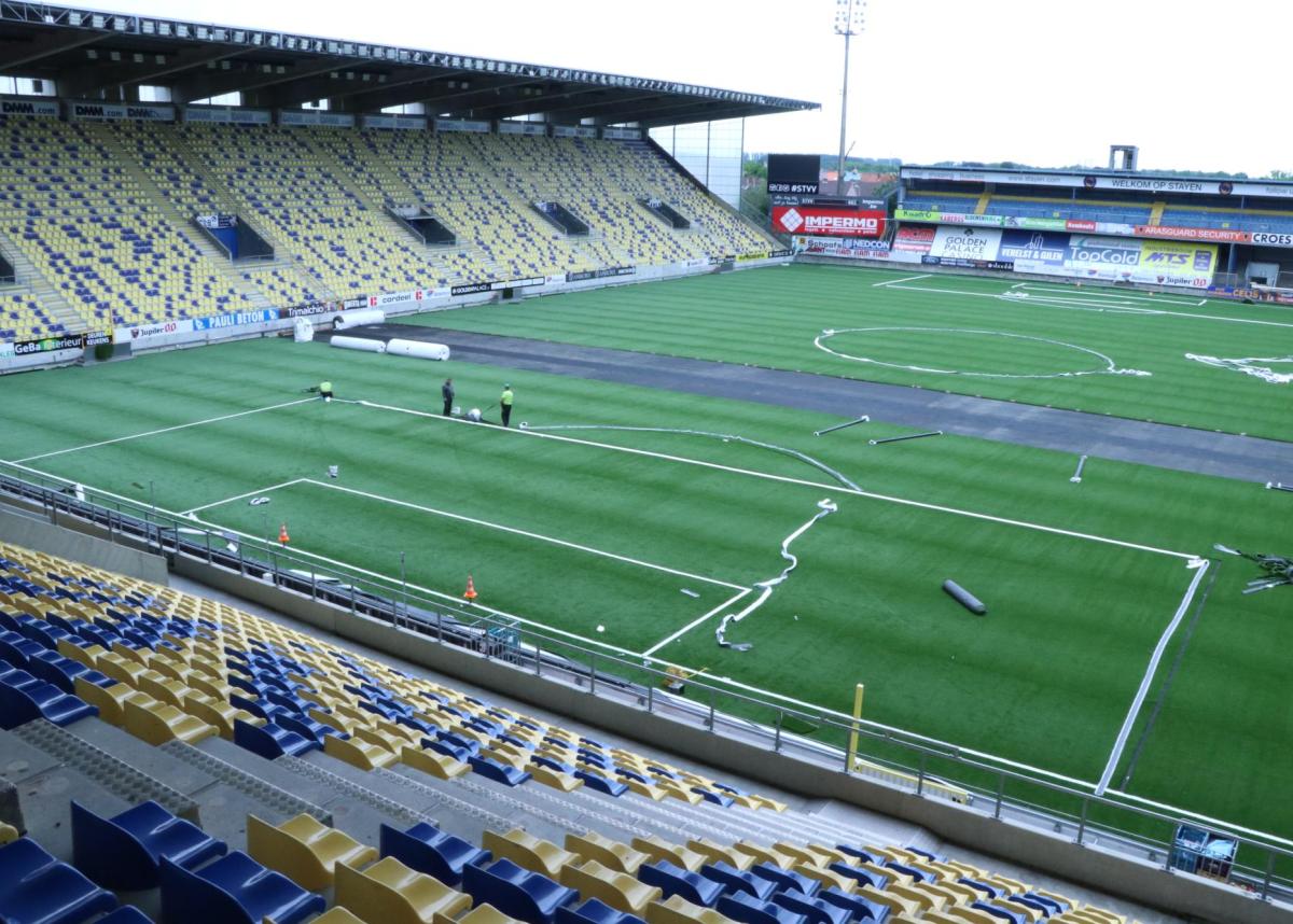 Installation service - Domo Sports Grass