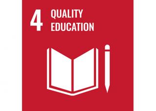 Sustainable Development Goal 4: Quality education - Domo® Sports Grass