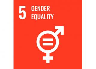 Sustainable Development Goal 5: Gender equality - Domo® Sports Grass Sustainable Development Goal 5: Gender equality - Domo® Sports Grass