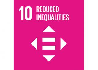 Sustainable Development Goal 10: Reduced inequalities - Domo® Sports Grass