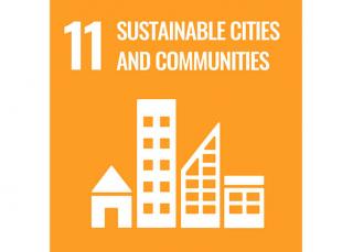 Sustainable Development Goal 5: Sustainable cities and communities - Domo® Sports Grass