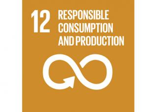 Sustainable Development Goal 12: Responsible consumption and production - Domo® Sports Grass