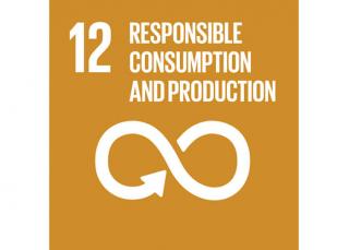 Sustainable Development Goal 12: Responsible consumption and production - Domo® Sports Grass Sustainable Development Goal 12: Responsible consumption and production - Domo® Sports Grass