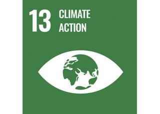 Sustainable Development Goal 13: Climate action - Domo® Sports Grass