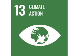 Sustainable Development Goal 13: Climate action - Domo® Sports Grass Sustainable Development Goal 13: Climate action - Domo® Sports Grass