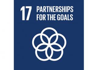 Sustainable Development Goal 17: Partnerships for the goals - Domo® Sports Grass