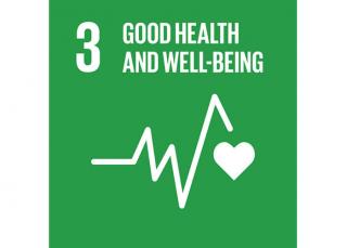 Sustainable Development Goal 3: Good health and well-being - Domo® Sports Grass
