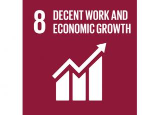 Sustainable Development Goal 8: Decent work and economic growth - Domo® Sports Grass Sustainable Development Goal 8: Decent work and economic growth - Domo® Sports Grass