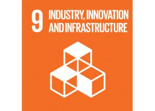 Sustainable Development Goal 9: Industry, innovation and infrastructure - Domo® Sports Grass