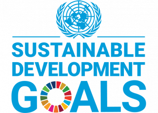 Sustainable Development Goals - Domo® Sports Grass