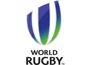 World Rugby - Domo® Sports Grass