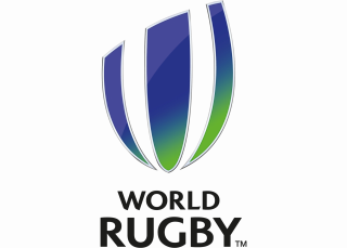 Logo World Rugby - Domo® Sports Grass