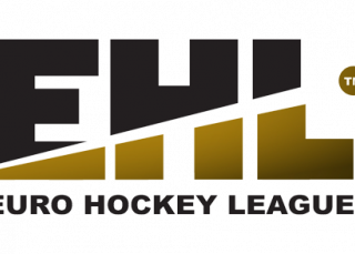 Logo EHL - Domo Sports Grass