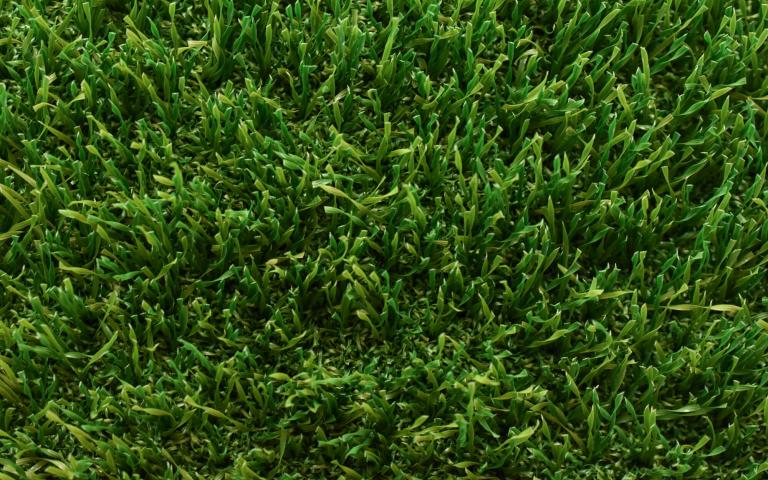 Non infill kunstgras- Champion Ascari 5G - Domo Sports Grass