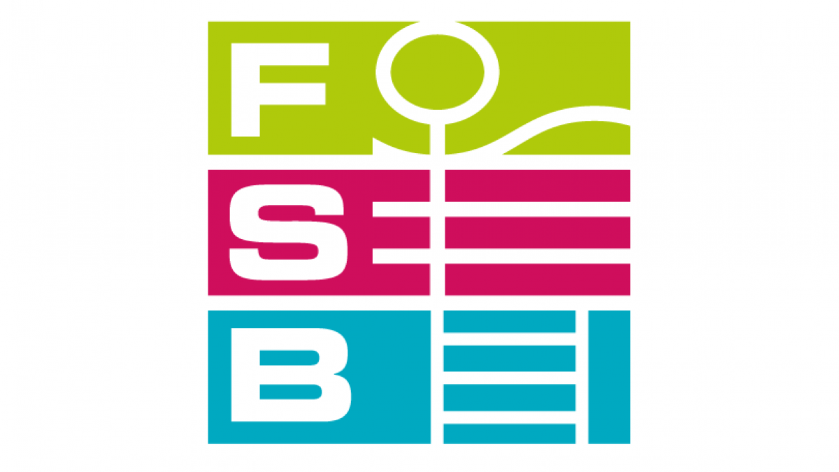 FSB - Domo Sports Grass