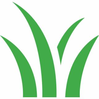 Natural look - Domo Sports Grass Natural look - Domo Sports Grass