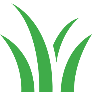 Natural look - Domo Sports Grass Natural look - Domo Sports Grass