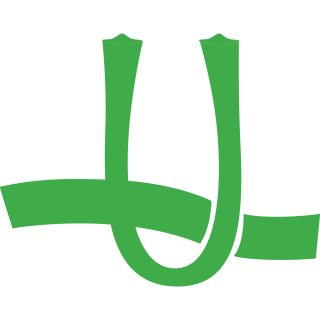 Excellent Pile Anchoring - Domo Sports Grass Excellent Pile Anchoring - Domo Sports Grass