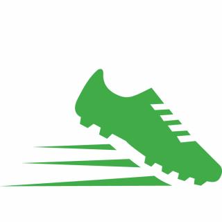 Domo® Champion Ascari 5G pitch- Excellent grip- Domo® Sports Grass Domo® Champion Ascari 5G pitch- Excellent grip- Domo® Sports Grass