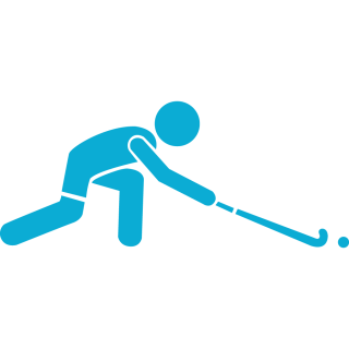Superficie di gioco sicura - Domo Sports Grass