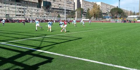 Duraforce XSL Rome- Domo® Sports Grass