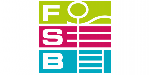 FSB - Domo Sports Grass
