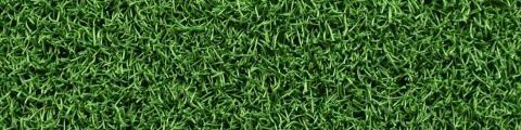 Domo Hockey Optimum Dry Campo de Hockey - Domo Sports Grass