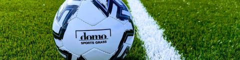 Domo Sports Grass ball on artificial turf with a white line