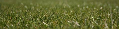 Domo® Fusion Grass - Domo® Sports Grass