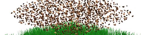 Domo® Terraefill - Domo® Sports Grass