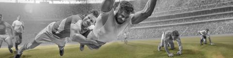Rugby - Domo® Sports Grass