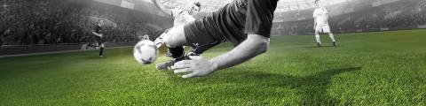 Soccer - Domo® Sports Grass