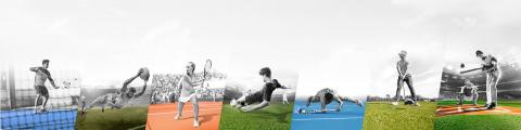 Sports - Domo® Sports Grass