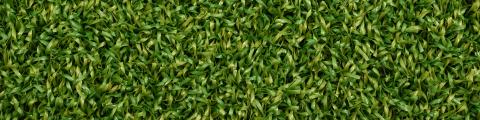 Topspin Ultira- Domo® Sports Grass