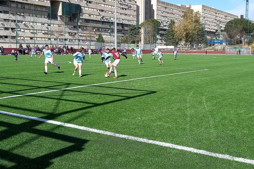 Duraforce XSL Rome- Domo® Sports Grass
