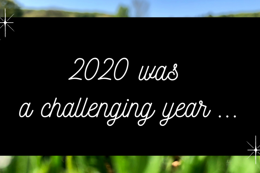 2020 was a challenging year ...