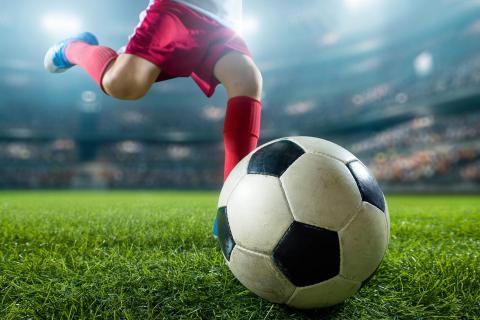 Soccer ball- Domo Sports Grass