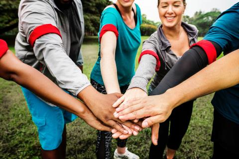 Together - Domo® Sports Grass