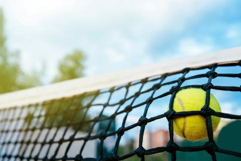 You can build on our experience - Domo Smashcourt - Domo Sports Grass