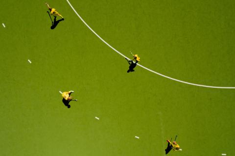 Domo Optimum Dry Campo de Hockey Sec - Domo Sports Grass