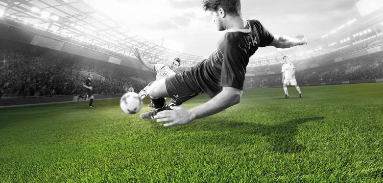 Football - Domo® Sports Grass